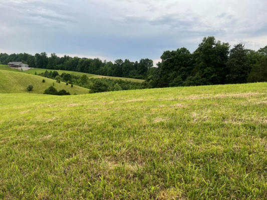 LOT 58 HOLLY BEND DRIVE, BYRDSTOWN, TN 38549 - Image 1