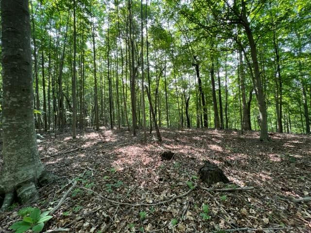 10.97 AC H R HUFFER LN, ALLONS, TN 38541, photo 1 of 9