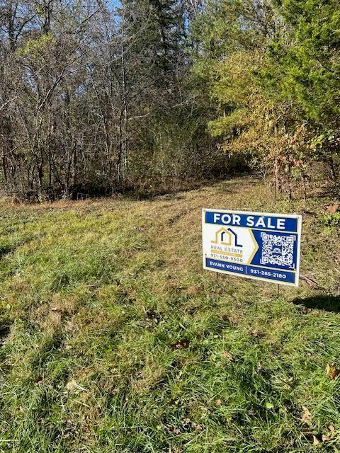 1383 CLEO JOHNSON RD, ALLONS, TN 38541, photo 1 of 19