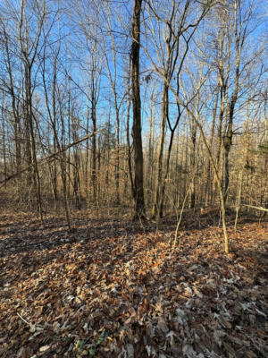 LOT 2-4 STONE CLIFF SUBDIVISION, ALBANY, KY 42602, photo 2 of 10