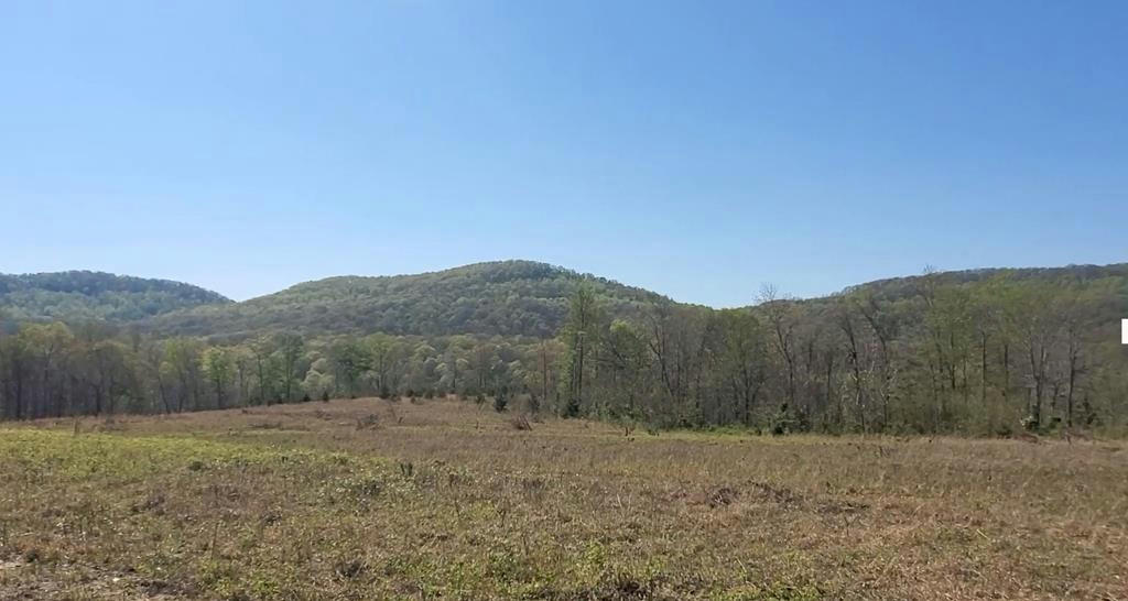 LOT 7 BEAR HOLLOW LANE, LIVINGSTON, TN 38570, photo 1 of 4