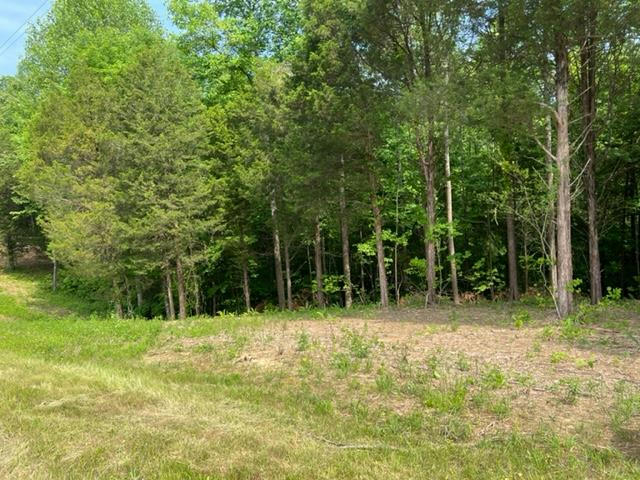 LOT 3 WILLOW GROVE HWY, ALLONS, TN 38541, photo 1 of 6