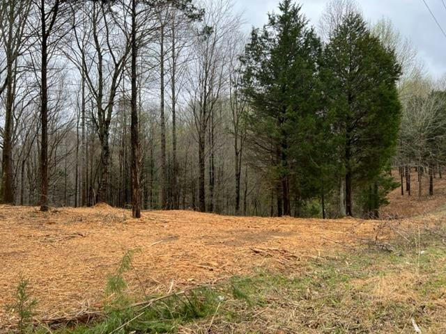 LOT 2 WILLOW GROVE HWY, ALLONS, TN 38541, photo 1 of 3