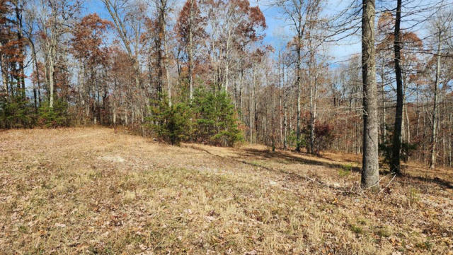 50 AC OFF HWY 558, ALBANY, KY 42602, photo 4 of 18
