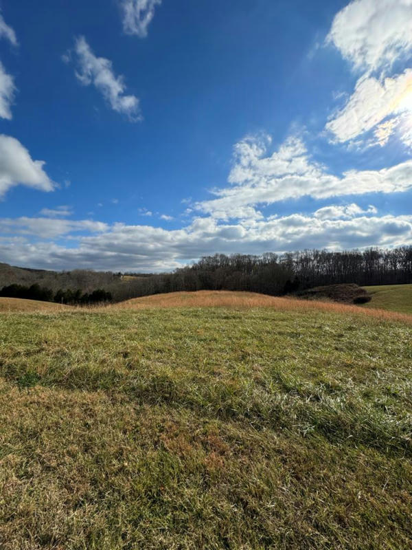 LOT 3 HOLLY BEND DR., BYRDSTOWN, TN 38549, photo 1 of 18