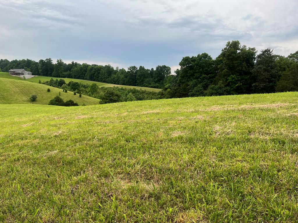 LOT 59 HOLLY BEND DRIVE, BYRDSTOWN, TN 38549, photo 1 of 5