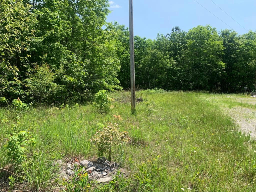 LOT 26 WILLIAMS DRIVE, SPENCER, TN 38585, photo 1 of 11