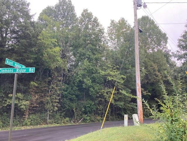 . AUNT HELEN ROAD, SILVER POINT, TN 38582, photo 1 of 6