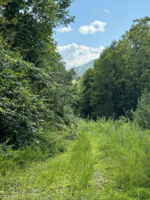 0 SMOKEY CREEK, HAMPTON, TN 37756 - Image 1