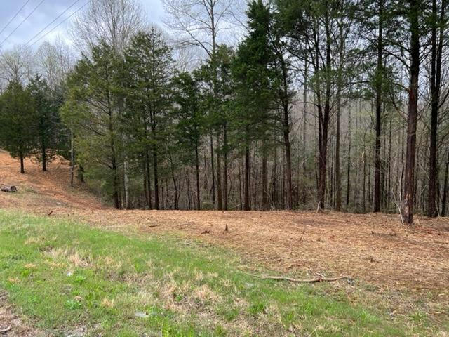 LOT 1 WILLOW GROVE HWY, ALLONS, TN 38541, photo 1 of 4