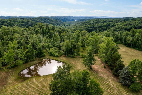 30 ACRES WILLOW GROVE HWY, ALLONS, TN 38541 - Image 1