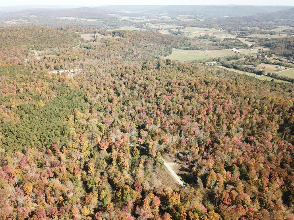 0 BALD KNOB MOUNT CUMMINGS COVE RD., DOYLE, TN 38559, photo 1 of 31