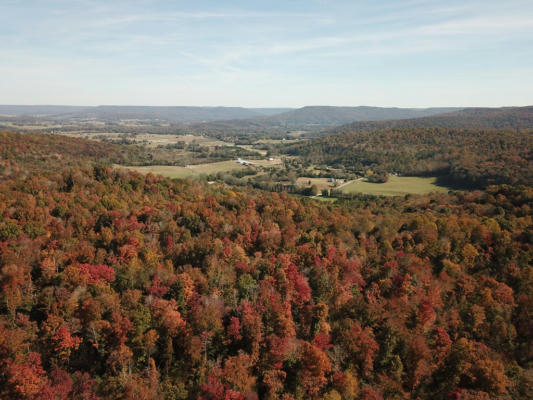 0 BALD KNOB MOUNT CUMMINGS COVE RD., DOYLE, TN 38559, photo 3 of 31