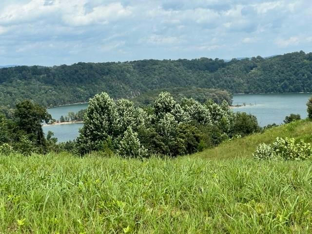 LOT 38 HOLLY BEND DR, BYRDSTOWN, TN 38549, photo 1 of 13