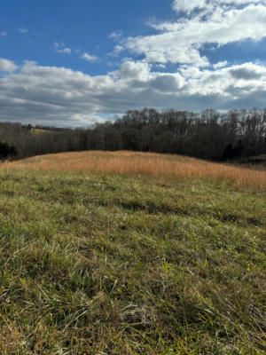 LOT 3 HOLLY BEND DR., BYRDSTOWN, TN 38549, photo 2 of 18