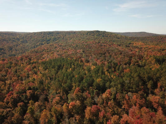 0 BALD KNOB MOUNT CUMMINGS COVE RD., DOYLE, TN 38559, photo 4 of 31