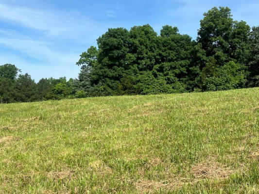 LOT 60 HOLLY BEND DRIVE, BYRDSTOWN, TN 38549 - Image 1