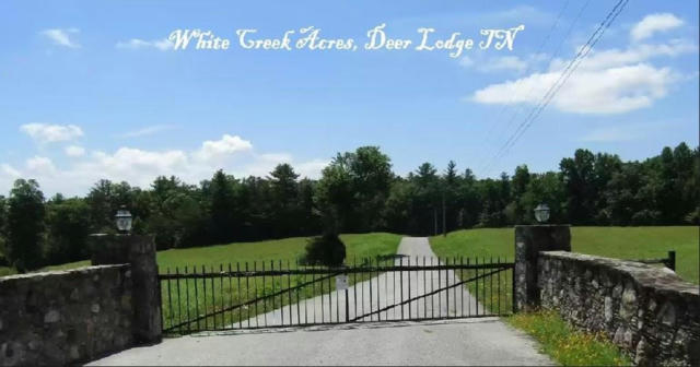 359 WHITE CREEK DR, DEER LODGE, TN 37726 - Image 1