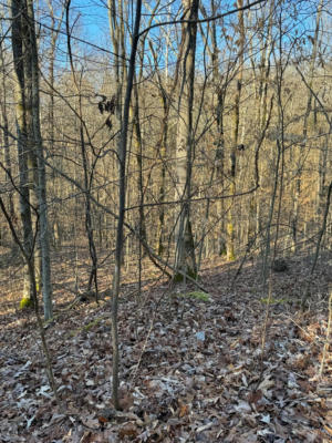LOT 2-4 STONE CLIFF SUBDIVISION, ALBANY, KY 42602, photo 3 of 10