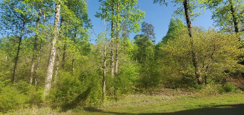 LOT 258 PINE LOOP DR, MADISONVILLE, TN 37354, photo 1 of 7