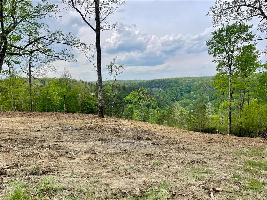 LOT 51 GRANDVIEW WAY, JAMESTOWN, TN 38556, photo 1 of 8