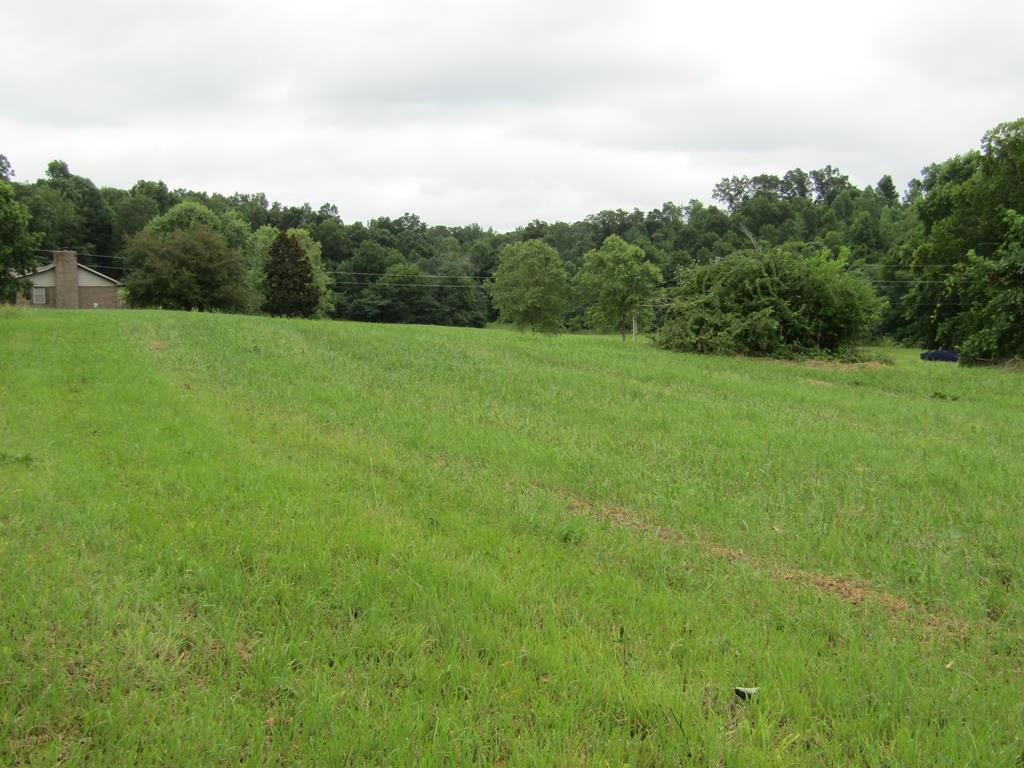 LOT 3&4 GUNNELS (LAKEVIEW EST) RD, BYRDSTOWN, TN 34549, photo 1 of 28