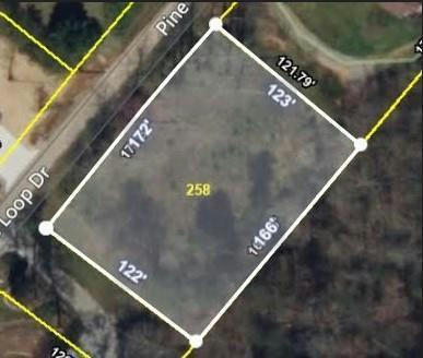 LOT 258 PINE LOOP DR, MADISONVILLE, TN 37354, photo 2 of 7