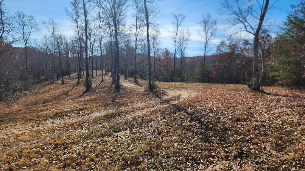 50 AC OFF HWY 558, ALBANY, KY 42602, photo 1 of 18