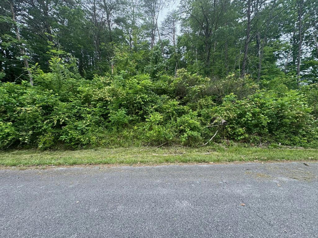 LOT 26 JOHNNIE BUD LANE, COOKEVILLE, TN 38501, photo 1 of 3