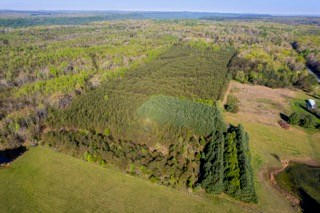 25 ACRE BAKER MOUNTAIN ROAD, SPENCER, TN 38585, photo 4 of 9