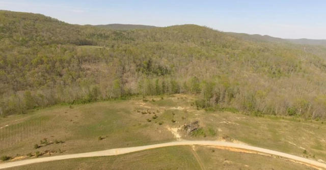 LOT 7 BEAR HOLLOW LANE, LIVINGSTON, TN 38570, photo 4 of 4