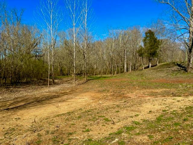 00 RANDOLPH MILL RD, COOKEVILLE, TN 38501, photo 1 of 4