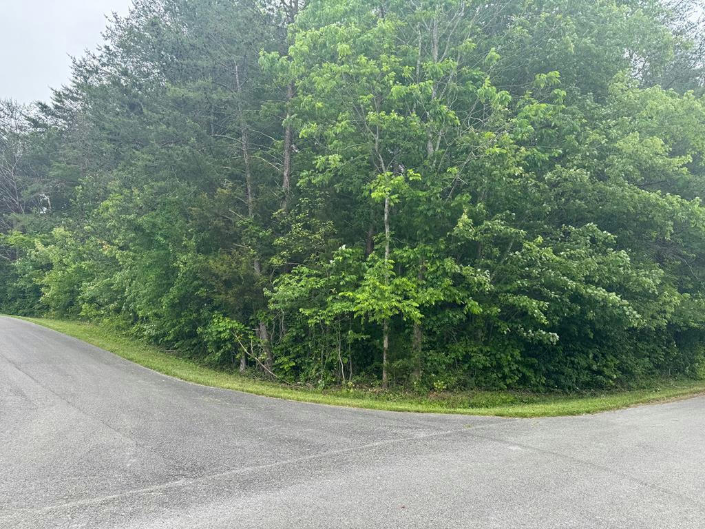 LOT 27 JOHNNIE BUD LANE, COOKEVILLE, TN 38501, photo 1 of 3