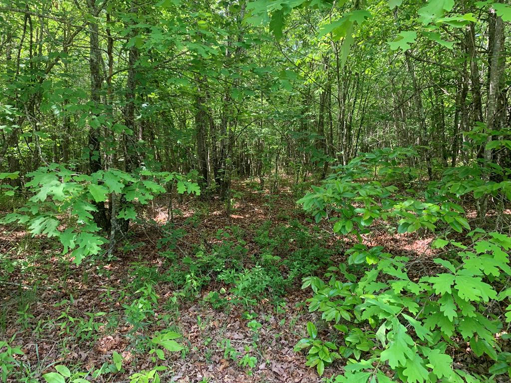 LOT 23 WILLIAMS DRIVE, SPENCER, TN 38585, photo 1 of 11