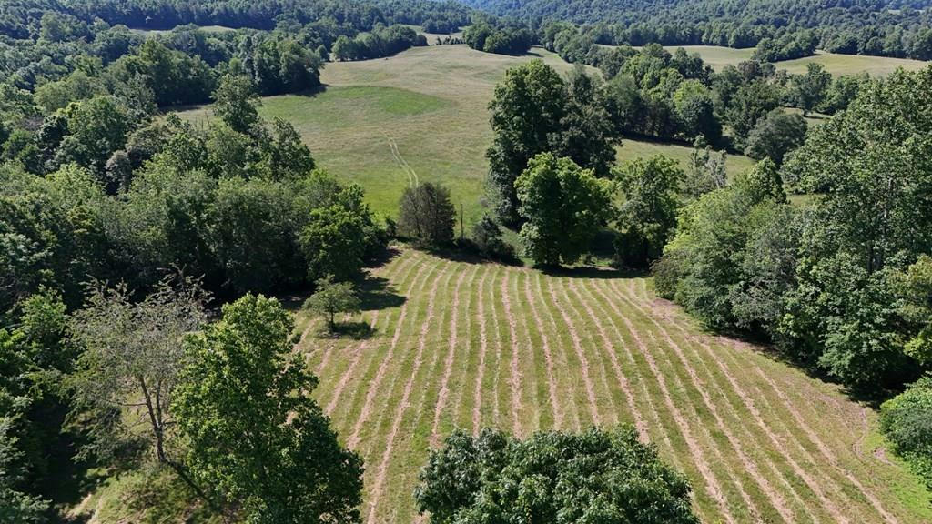 TRACT#17 LEGACY TRACE, BURKESVILLE, KY 42717, photo 1 of 35
