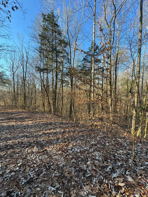 LOT 2-4 STONE CLIFF SUBDIVISION, ALBANY, KY 42602, photo 1 of 10