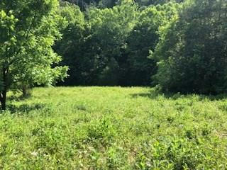 64 ACRES ADD STAFFORD RD, HILHAM, TN 38568 - Image 1