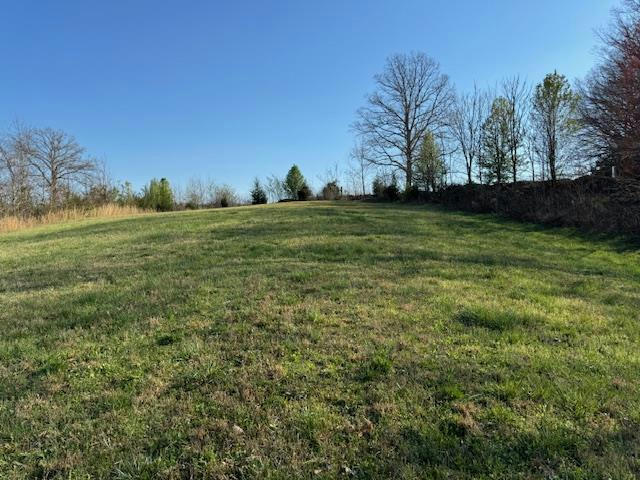 16.70 AC WILLOW GROVE HWY, ALLONS, TN 38541, photo 1 of 15