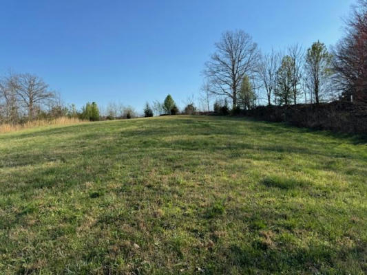 16.70 AC WILLOW GROVE HWY, ALLONS, TN 38541 - Image 1