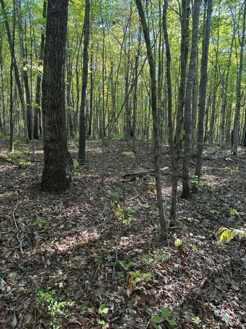 LOT 95 PARKSTOWN ROAD, WILDER, TN 38589, photo 1 of 13